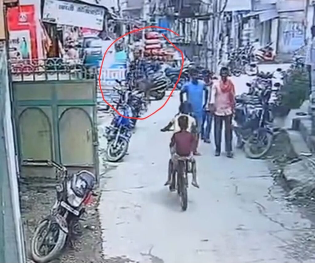 WhatsApp Image 2024-09-25 at 5.18.52 PM