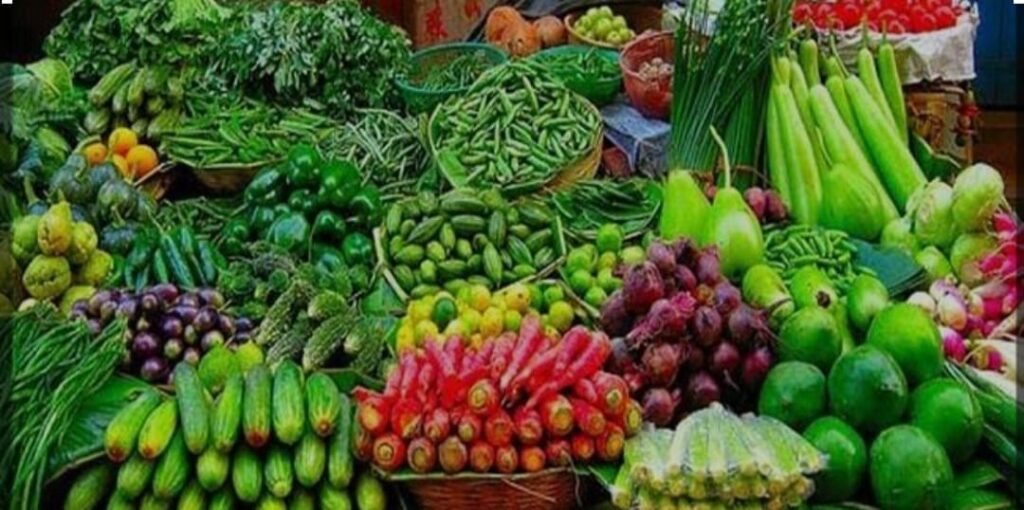 WhatsApp Image 2024-10-10 at 3.54.56 PM