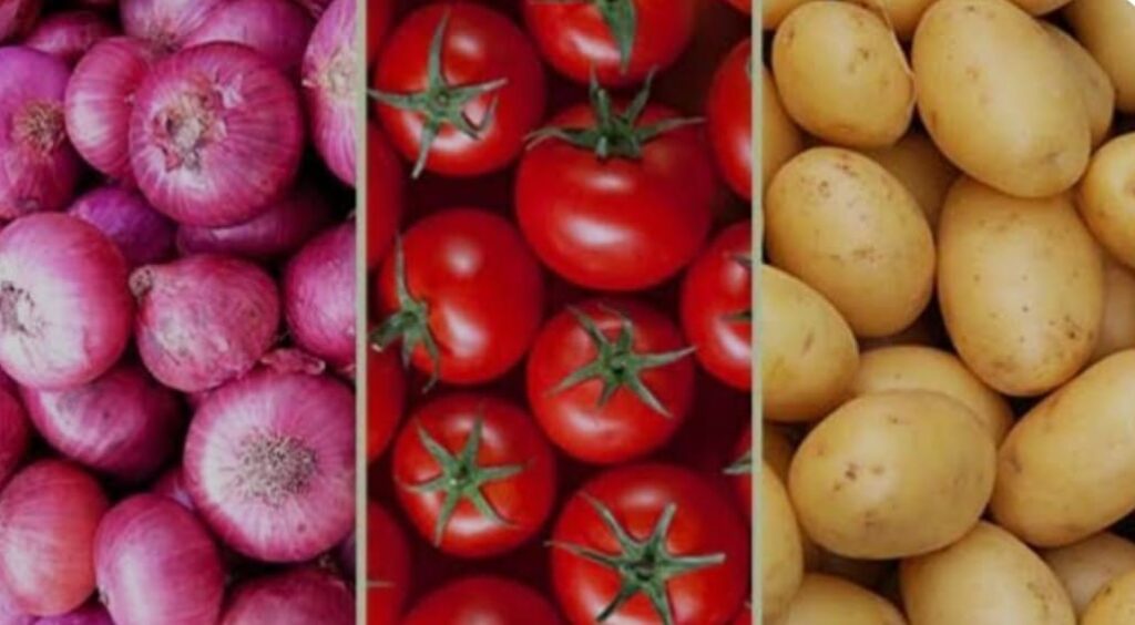 WhatsApp Image 2024-11-15 at 5.45.08 PM