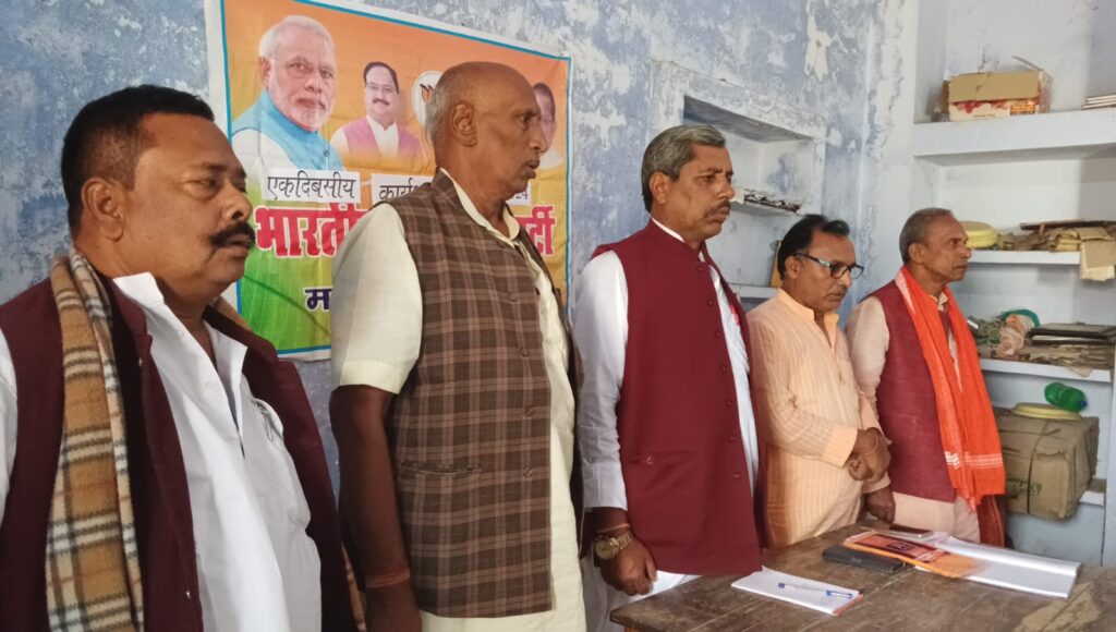 WhatsApp Image 2024-11-19 at 4.33.59 PM