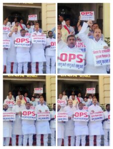WhatsApp Image 2025-03-19 at 7.48.17 PM