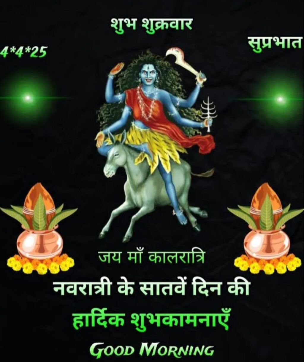 WhatsApp Image 2025-04-04 at 4.03.58 PM