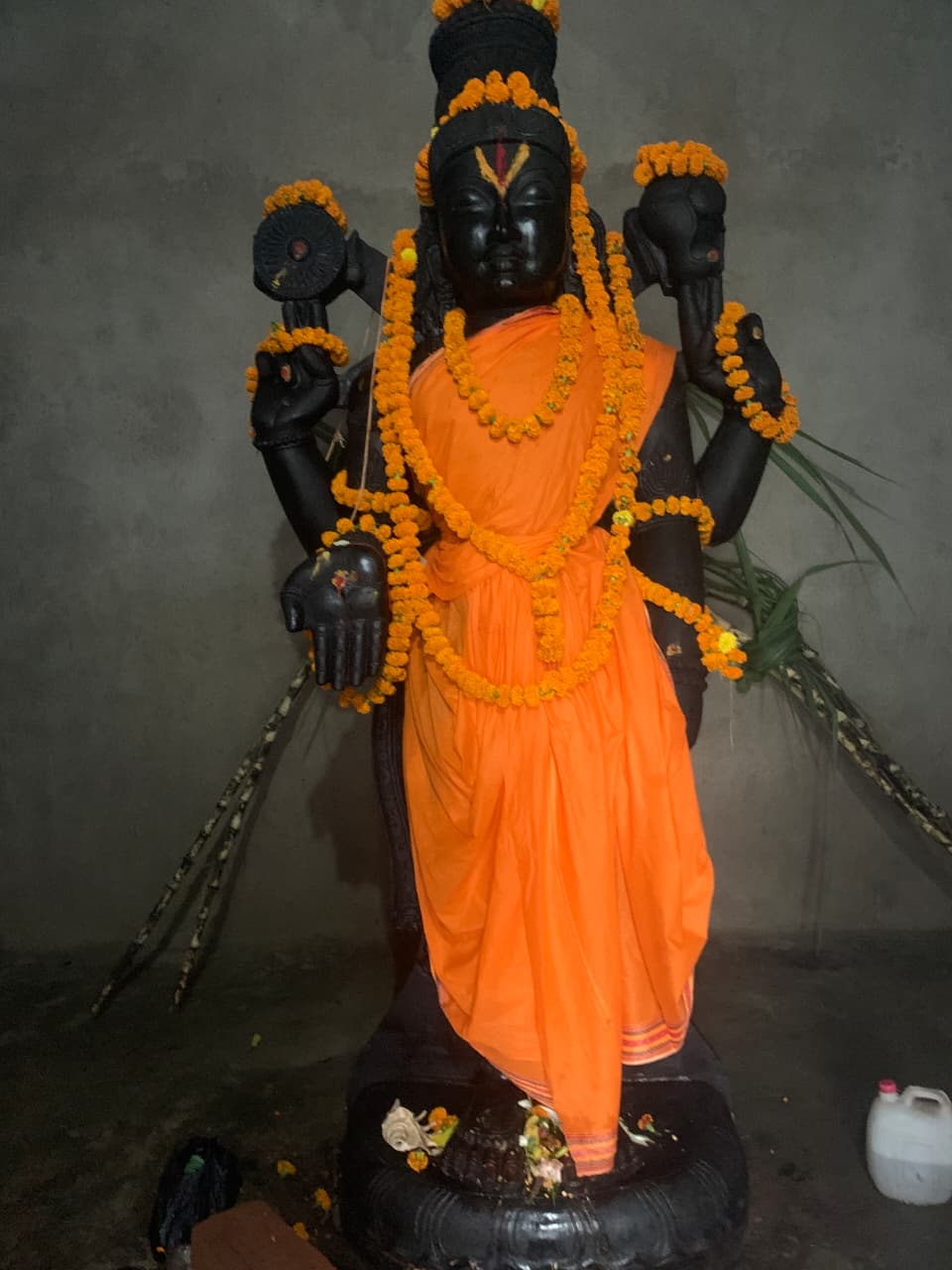 WhatsApp Image 2025-11-02 at 5.43.28 PM