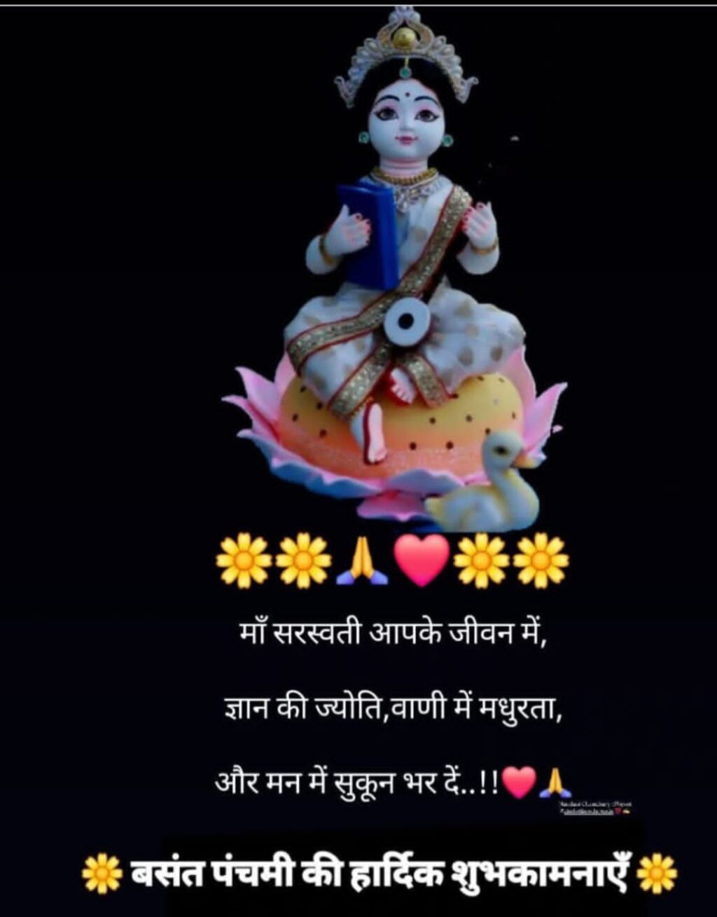 WhatsApp Image 2026-01-23 at 6.19.55 PM