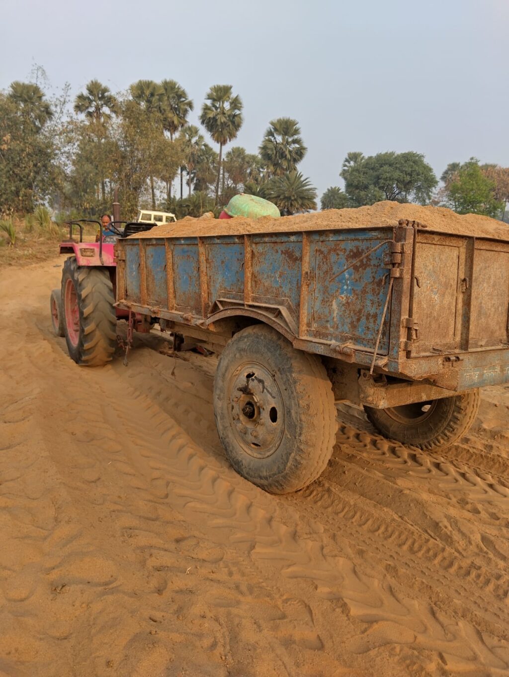 WhatsApp Image 2026-03-12 at 7.00.39 PM