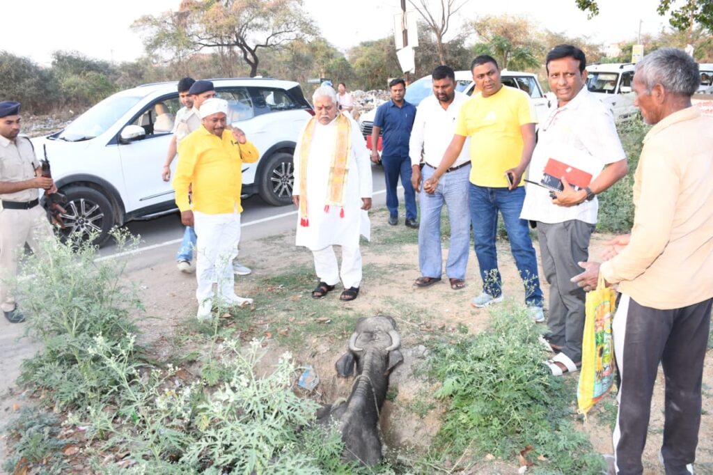 WhatsApp Image 2026-04-01 at 8.02.14 PM