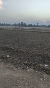 WhatsApp Image 2026-04-05 at 9.29.04 PM